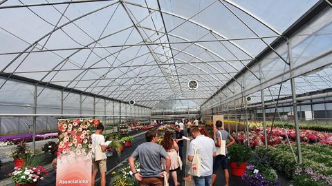 Les Serres de la Bleue, à Prémesques (59), ont reçu leurs homologues à la fin juin pour préparer la saison 2022/2023. © Syngenta